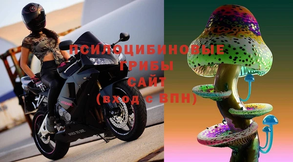 прущий лед Алексин