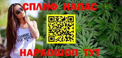 сатива Усть-Джегута