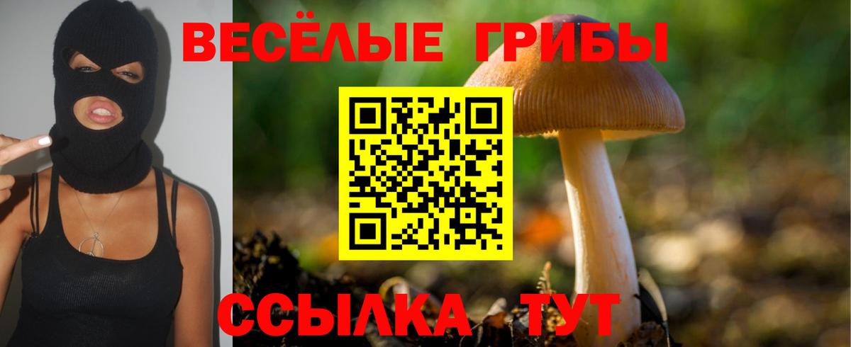 Невинномысск  Галлюциногенные грибы мухоморы  Вход с VPN 